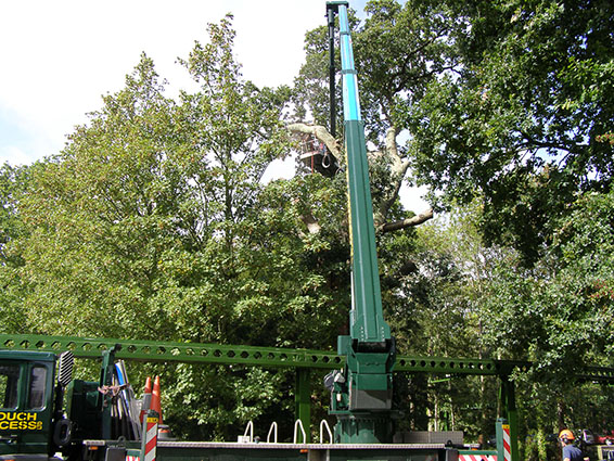 Commercial customers