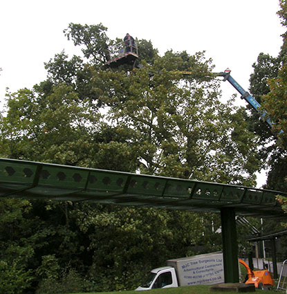 Commercial customers