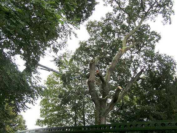 Commercial customers