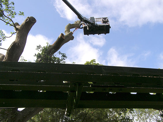 Commercial customers