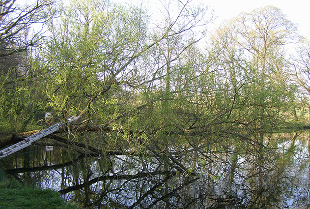 Commercial customers