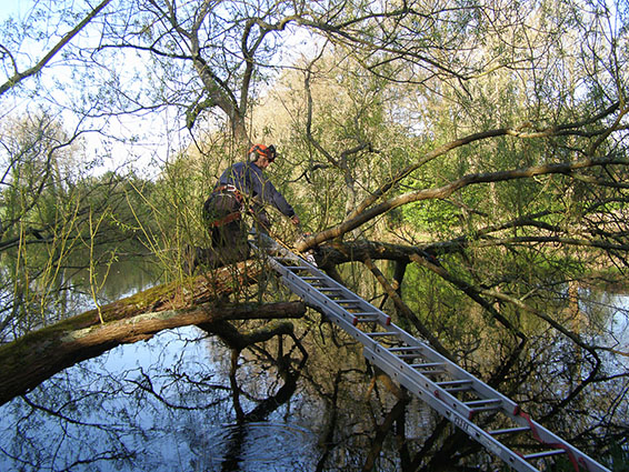 Commercial customers