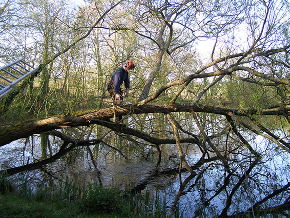 Commercial customers