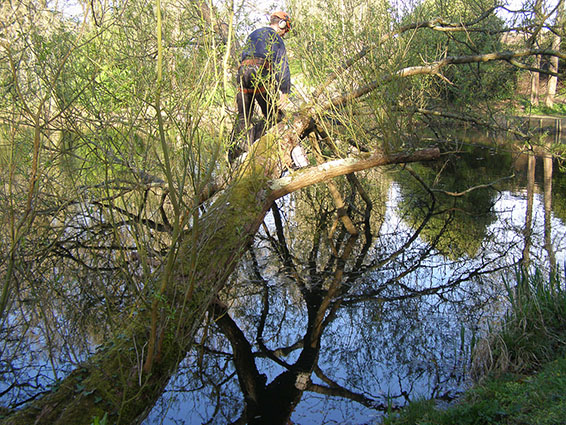 Commercial customers