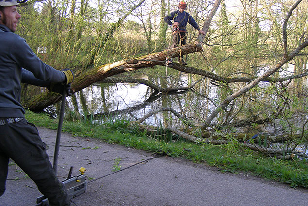 Commercial customers