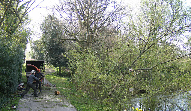 Commercial customers