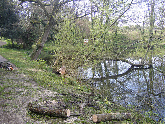 Commercial customers