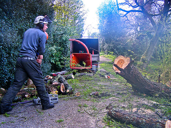 Commercial customers