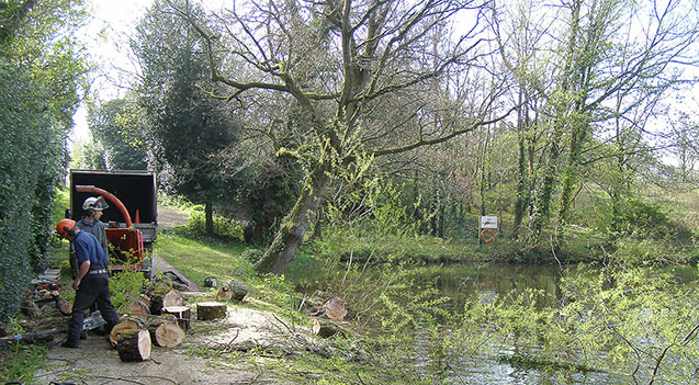 Commercial customers