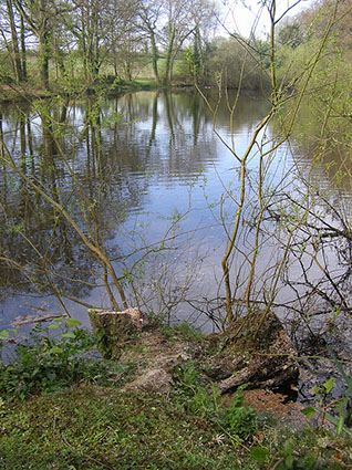 Commercial customers