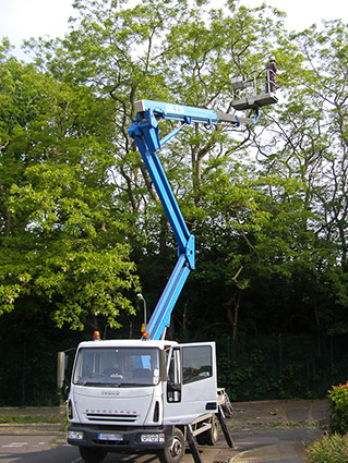 Commercial customers