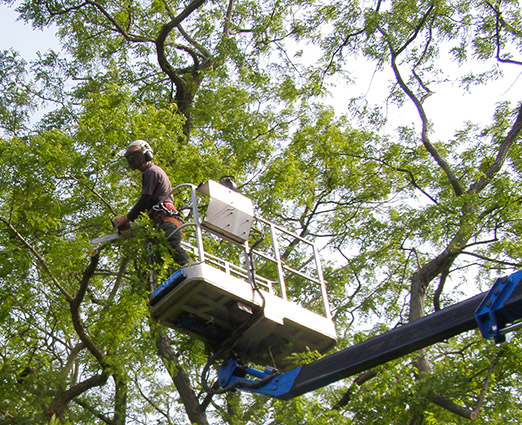 Commercial customers