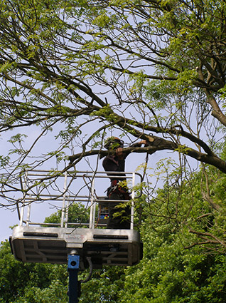 Commercial customers