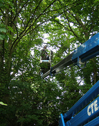 Commercial customers