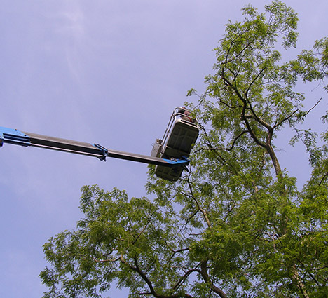 Commercial customers