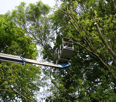 Commercial customers