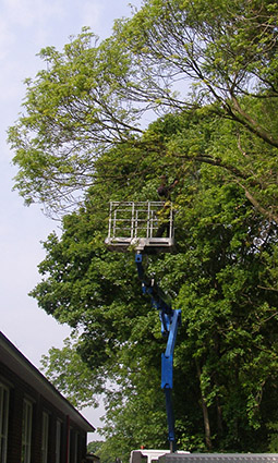 Commercial customers