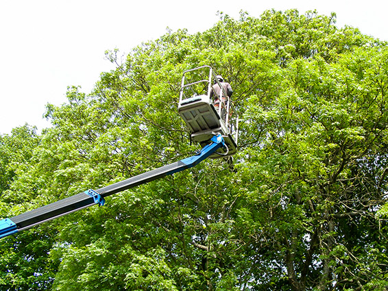 Commercial customers