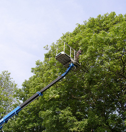 Commercial customers