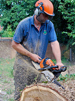 chainsawing