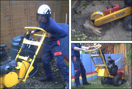 Stump grinding
